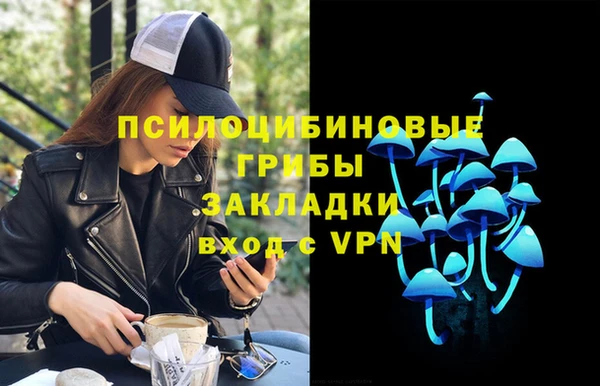 PSILOCYBIN Арсеньев