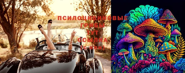PSILOCYBIN Арсеньев